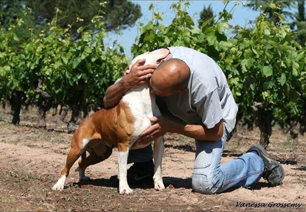 Éducation Canine et Élevage : Ma Vie avec les&nbsp;Chiens
